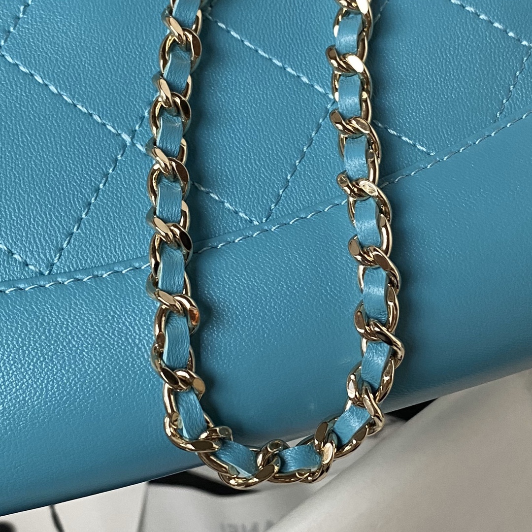 Calfskin Nano 31 Chain Shoulder Bag Handbag AP3656 Blue